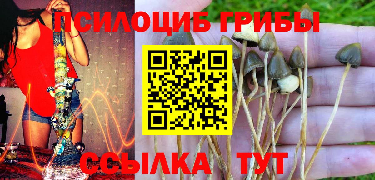 Псилоцибиновые грибы мухоморы  Москва  Галлюциногенные грибы MAGIC MUSHROOMS 
