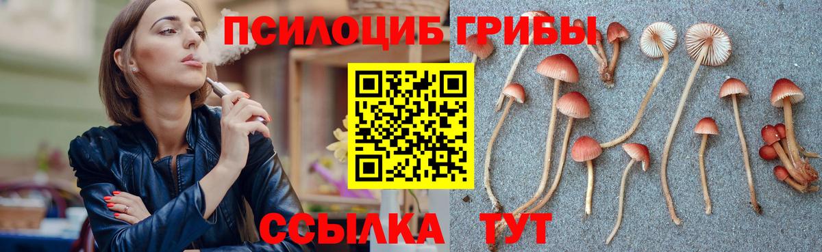 Псилоцибиновые грибы Psilocybe  Псилоцибиновые грибы MAGIC MUSHROOMS  Москва  Вход с VPN 