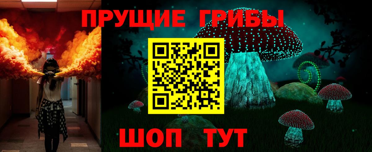 Псилоцибиновые грибы Cubensis Москва